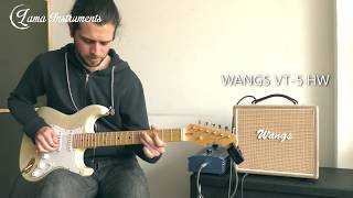 Wangs VT5HW  Amplificador  Gain Test [upl. by Shirk470]