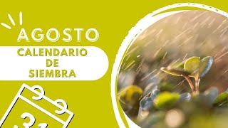 Que SEMBRAR y PLANTAR en AGOSTO Huerto ➕️ Aromáticas ➕️ Flores  Calendario de Siembra [upl. by Olivie455]