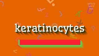 HOW TO PRONOUNCE KERATINOCYTES [upl. by Philips]