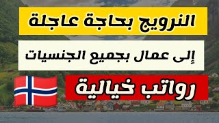 النرويج تفتح الهجرة من خلال العمل الموسمي لسنة 2024  نسبة القبول 90  بدون شرط العمر [upl. by Abijah147]