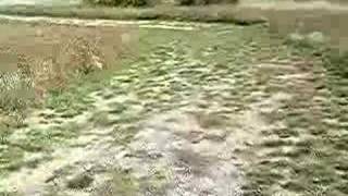 Walking down Big Hill at Lake Erie in Maumee Bay State Park [upl. by Dhiren]