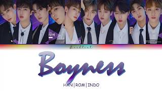 PRODUCE X 101 – Boyness 소년미 少年美 HANROMINDO Color Coded Lyrics가사 [upl. by Torruella389]