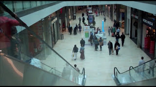 Lost in the Mall False Memory [upl. by Aneri]