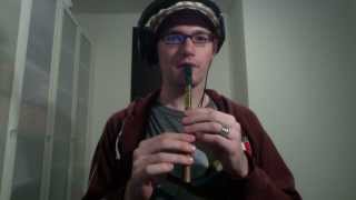 The Spanish Lady  Irish Traditional on Tin Whistle [upl. by Nahgaem]