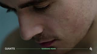 Dermot Kennedy  Giants Tensnake Remix [upl. by Nairam409]