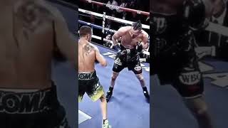 Lomachenko masterclass [upl. by Hanus]