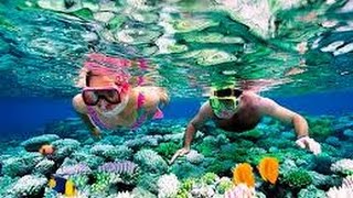 Vlog Snorkeling pulau tidungmy boy bagus banget [upl. by Havelock9]