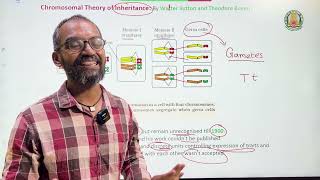 Biology  Chromosomal Basis of Inheritance Part 1  Week2  AIISH NFAT NIEPMD NIMHANS Week1 [upl. by Yreffej]