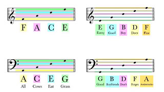 How To Read Notes On The Staff  EASY  Music Theory Tutorial [upl. by Gunnar]