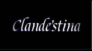 Clandestina a Miami  Valorant Montage Edit [upl. by Otanod]