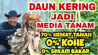 KOPI  DAUN KERING jadi MEDIA TANAM [upl. by Shirk]