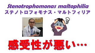 Stenotrophomonas maltophiliaの薬剤感受性を深掘りします！ [upl. by Caleb699]