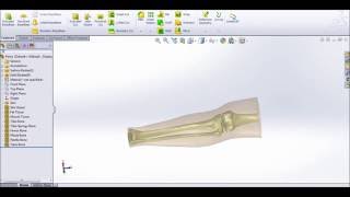 Leg and Knee 3D Modeling [upl. by Putscher]