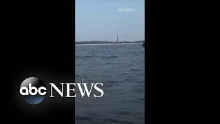 Humpback whales breach off the coast of North Carolina [upl. by Shapiro566]