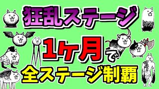 【にゃんこ大戦争】狂乱ステージを1ヶ月で効率よくクリアする方法（無課金キャラ）【The Battle Cats】 [upl. by Edrahs507]