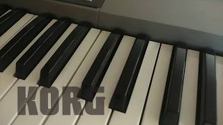 Korg PA900 Walkthrough [upl. by Giovanni985]