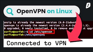 How to set up OpenVPN on Linux [upl. by Cassy684]