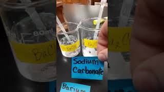 Barium Chloride and Sodium Carbonate [upl. by Ebocaj418]