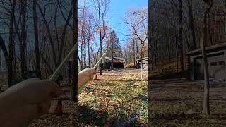 TURN THE VOLUME UP cantstoptheflop treeremoval [upl. by Crosse]