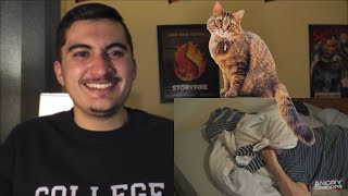 Angry Grandpa  100 Ways To Love A Cat  Part Two REACTION [upl. by Stretch]