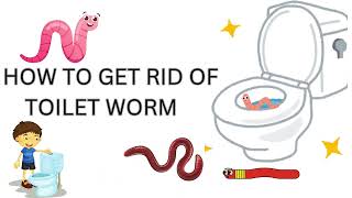 Unwanted Guests in Your Toilet Get Rid of Worms FAST [upl. by Flaherty992]