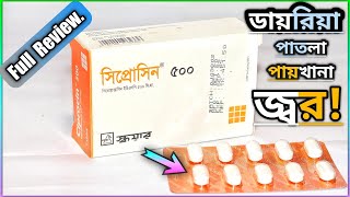 Ciprocin 500 mg  সিপ্রোসিন কখন খাবো কখন খাবো না  Square Pharmaceuticals Ltd [upl. by Amyaj]