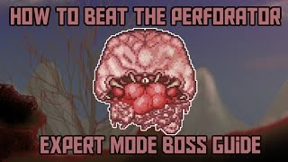 How to beat the Perforator in Terraria Calamity Expert Mode Boss Guide [upl. by Surad]