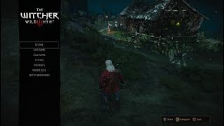 The Witcher 3 Wild Hunt Phantom Of The Trade Route [upl. by Necyrb]