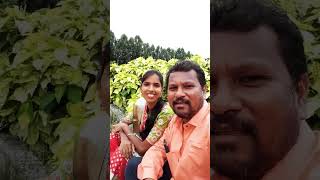 Allari Priyudu cinema song [upl. by Hadsall]