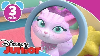 Doktor McStuffins  Katten Malous knurhår driller  Disney Junior Danmark [upl. by Anilatac61]