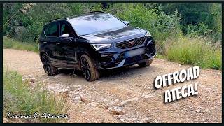 Ateca Offroad [upl. by Acirretal]