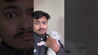 Billo rani 😡 ki aaj khair nahi ✊🏻  shorts dailyminivlog petsvlog minivlog [upl. by Auqenwahs]