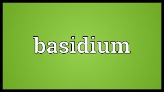 Basidium Meaning [upl. by Strohben]