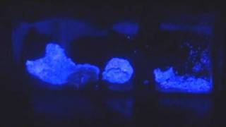 Quick Update Make BLUE glow in the dark powder [upl. by Mosenthal]