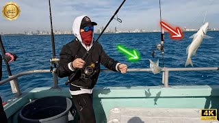 HOW TO CATCH LIVE BAIT FAST AND EASY BEST TECHNIQUE SABIKI [upl. by Ranit641]