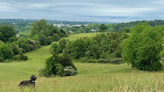 GET ON THE LIST 75 Beautiful Acres in Morristown TN for our New AFFORDABLE Small Home Community 🏡 [upl. by Joan]