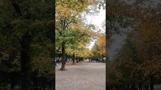 Autumn in the Hofgarten Munich  هوفگارتن مونیخ که در چهار قرن پیش باغ اختصاصی دربار بوده ✨ [upl. by Triplett]