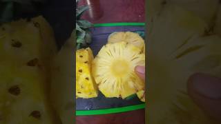 Pineapple🍍health benefits health viralshorts fruit reels tiktok trending video vlog cooking [upl. by Yorker487]