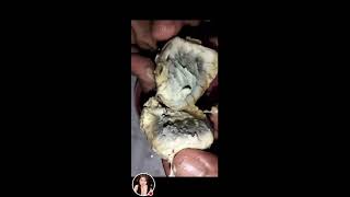 BALUT AN EGG EMBRYO COOK AND READY TO EAT balut balutchallenge viralvideo survival [upl. by Duwalt]