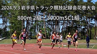 202453 岩手県トラック競技記録会花巻大会 800ｍ2組・3000ｍSC1組 [upl. by Nylhtiak]