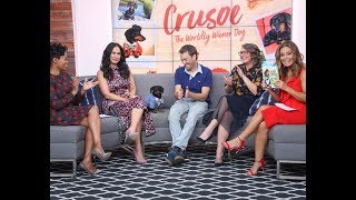 Crusoe the Dachshund on The Social Talk Show [upl. by Sanger]