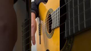 Rumba exercise guitar fingerstyleguitar flamencoguitarist shorts [upl. by Nnahgiel]