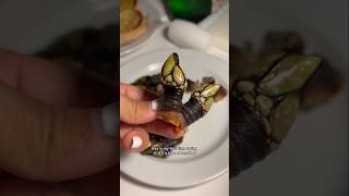 First time trying gooseneck barnacles percebes seafood [upl. by Hcra]