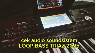 CEK AUDIO SOUNDSISTEMLOOP TRIAZ 2025BASS GLERRR [upl. by Lynnett]