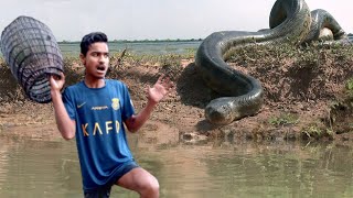 Anaconda Snake Attacks Man In Amazon Forest  Anaconda Snake Attack Fun Made Movie [upl. by Mark]