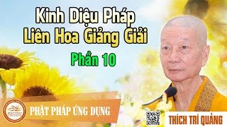 Kinh Diệu Pháp Liên Hoa Giảng Giải phần 10  Thầy Thích Trí Quảng giảng pháp [upl. by Andonis]