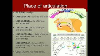 ARTICULATORY PHONETICS  TBI 3B [upl. by Ahseetal]