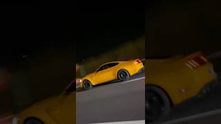 GT350 vs C63 AMG vs Hellcat [upl. by Flo]