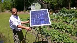 Solar water pump no battery Portable Water your garden grow your food [upl. by Mika]