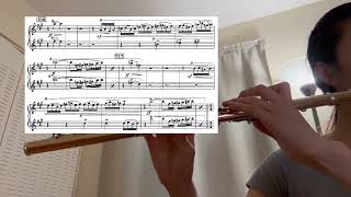 71024 practice log Ravel Daphnis et Chloe second flute excerpt from 214 [upl. by Ynots]